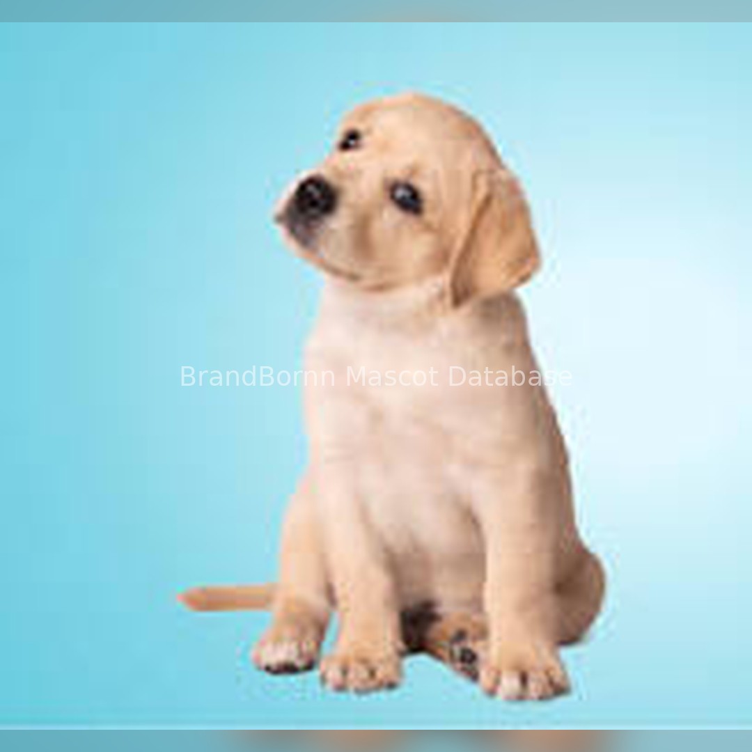 The Andrex Puppy