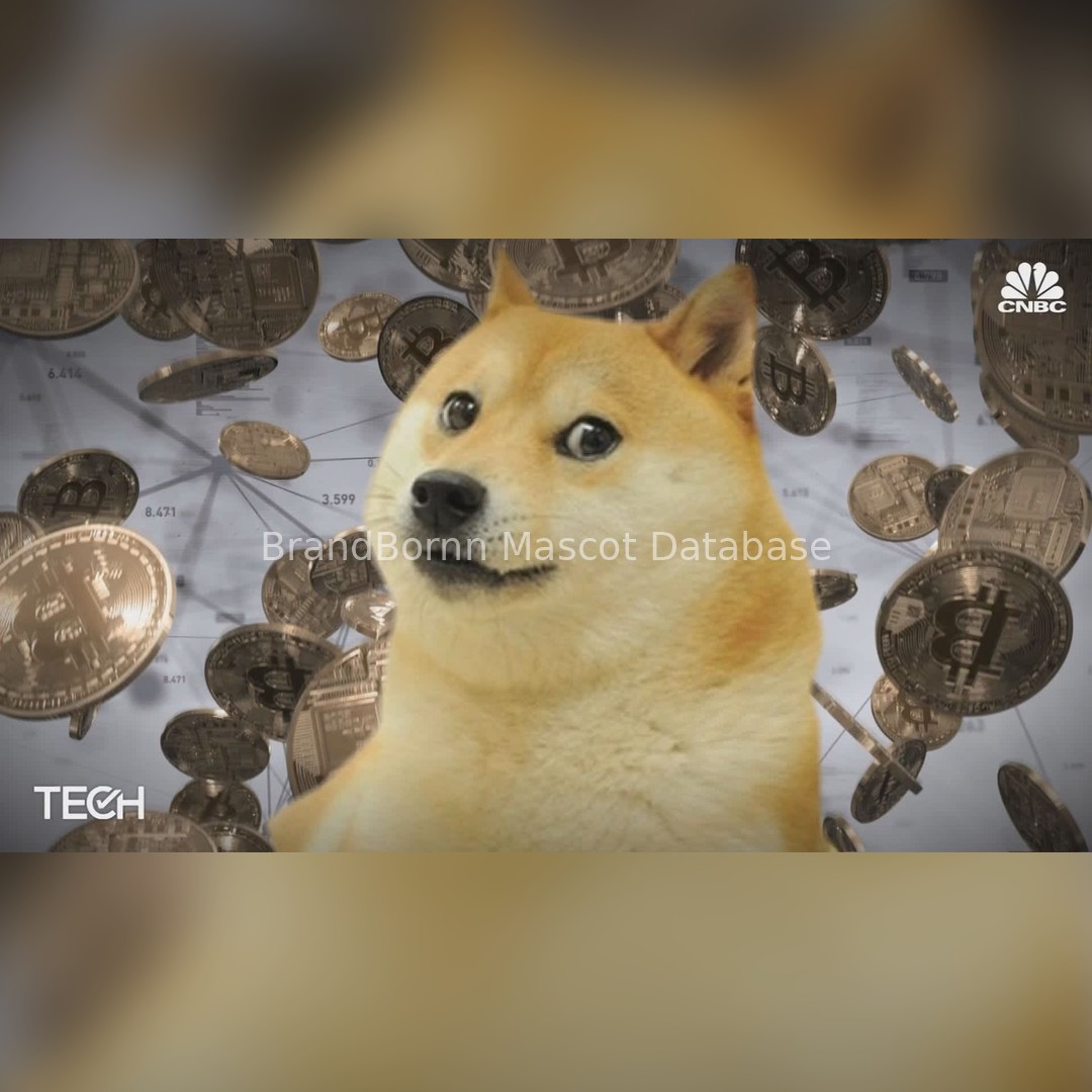 Doge (Shiba Inu)